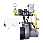 Efficiency High Industrial Low NOx Gas Burner with Automatic Ignition System